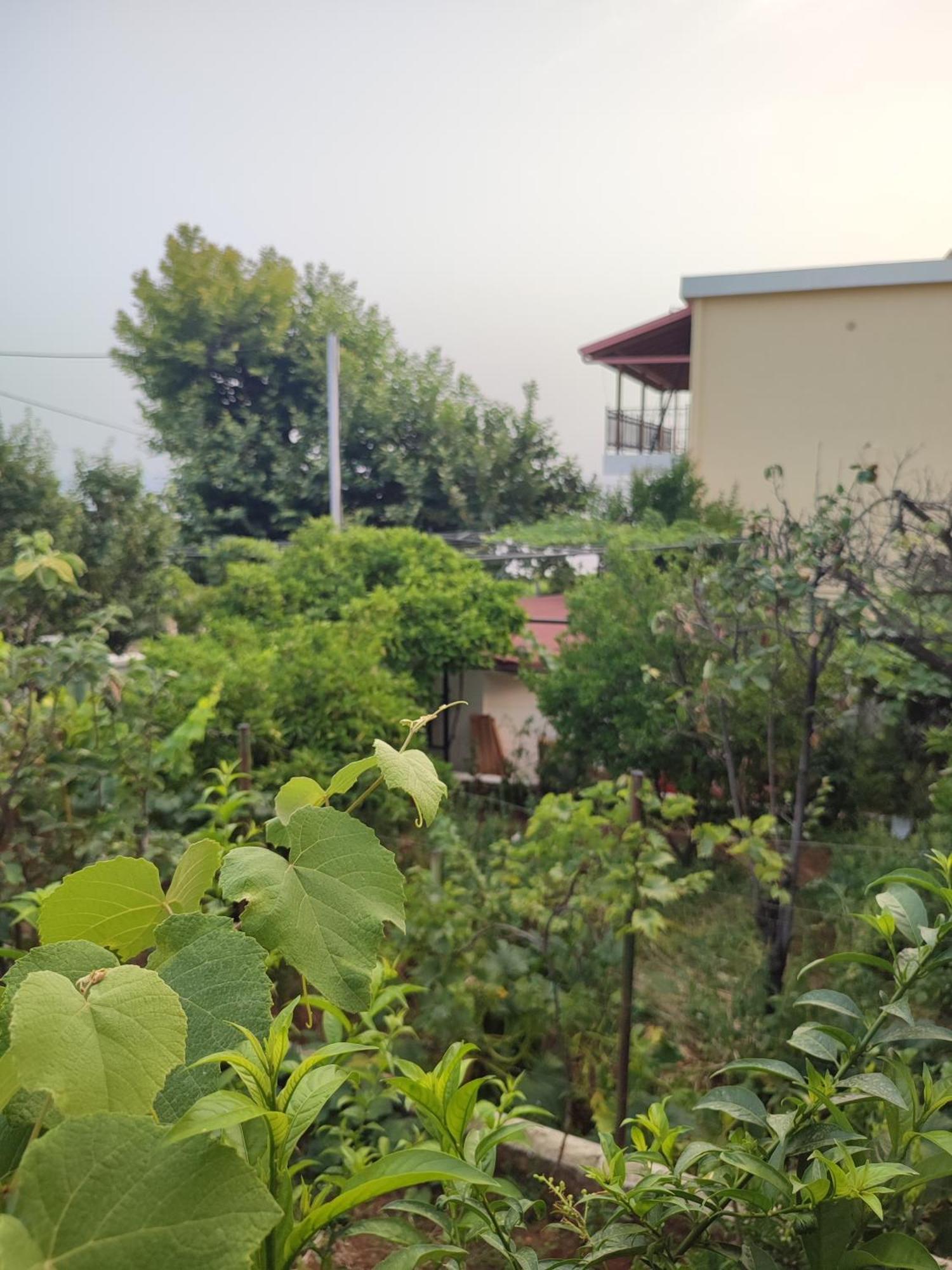 Janilla Casa di campagna