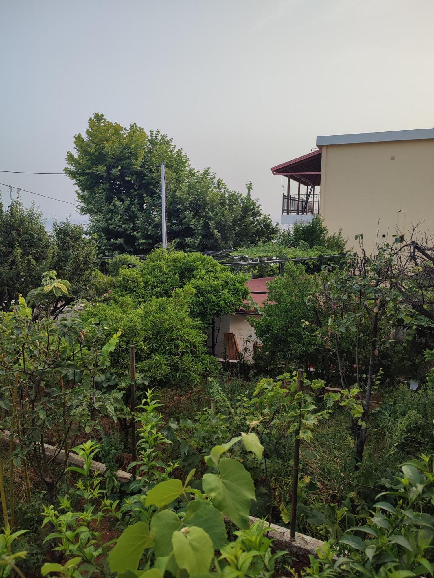 Casa di campagna Janilla Dhërmi